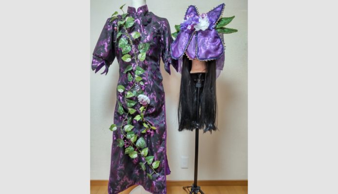 豫母都日狭美の衣装