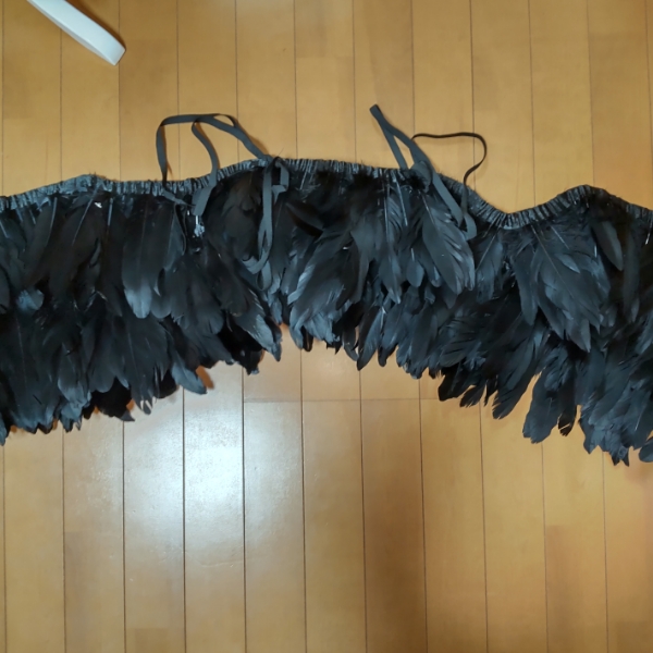 カラスの翼の完成後